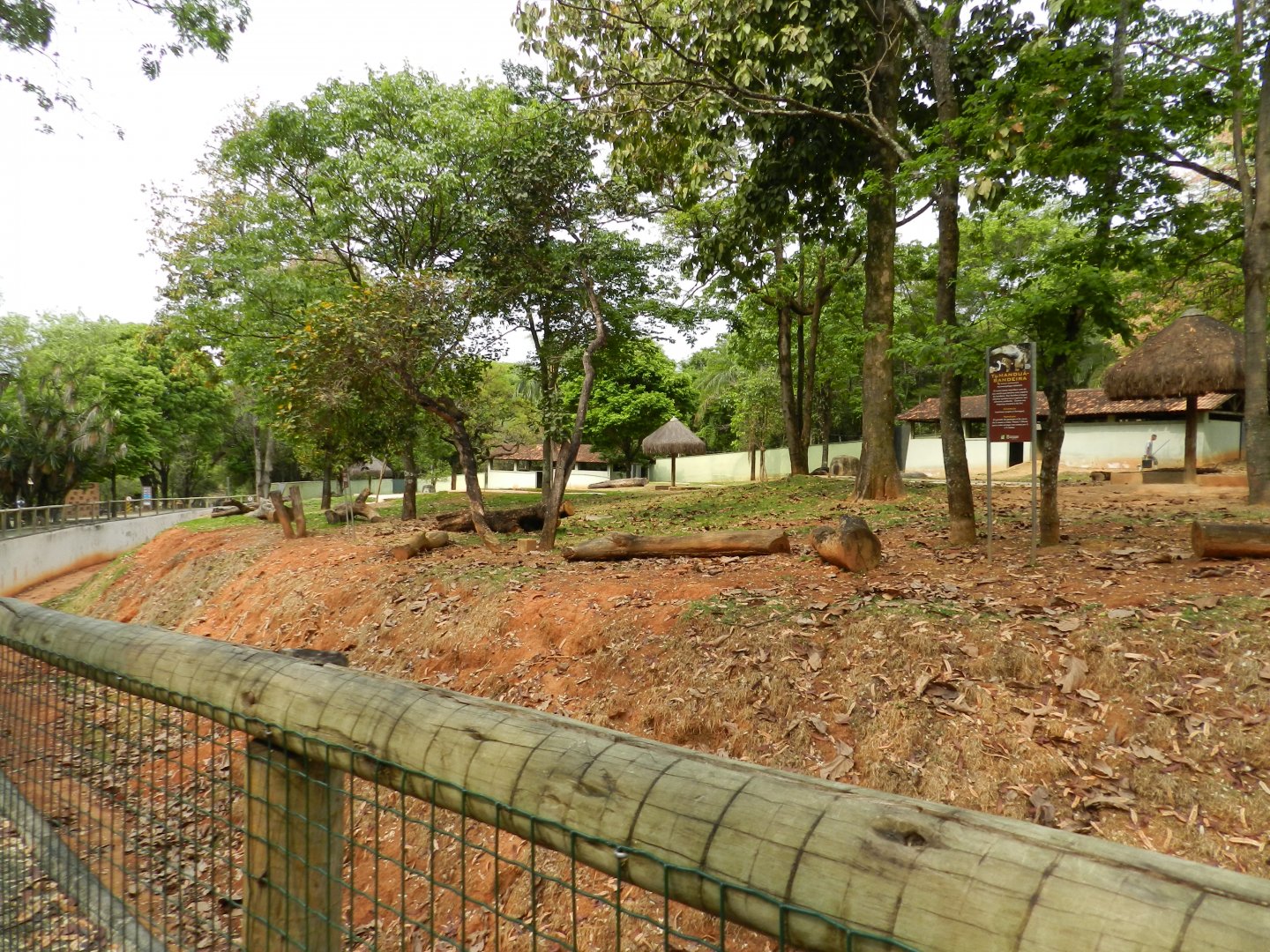 The big cerrado biome exhibit - Belo Horizonte zoo