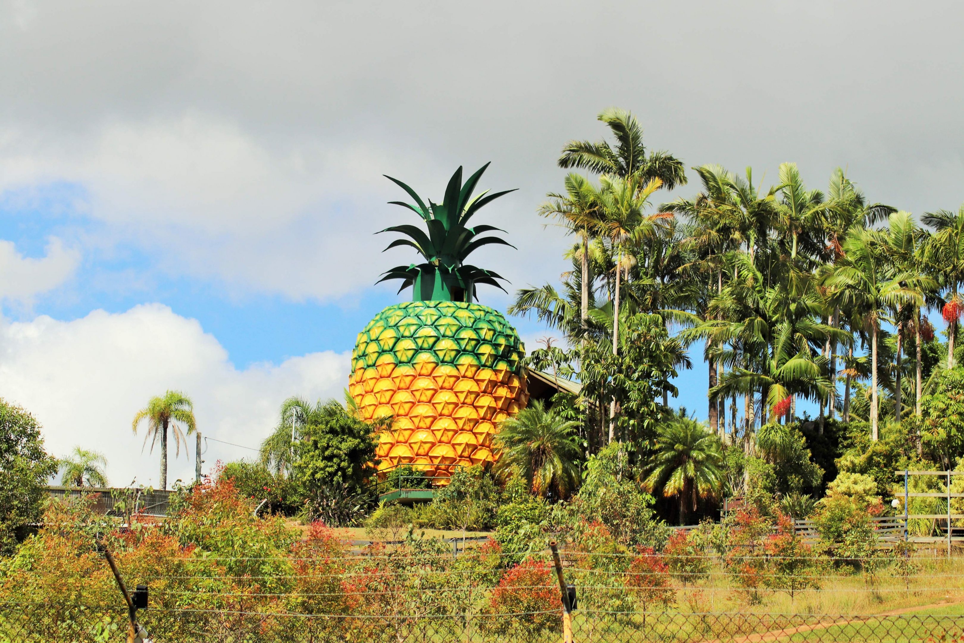 The Big Pineapple