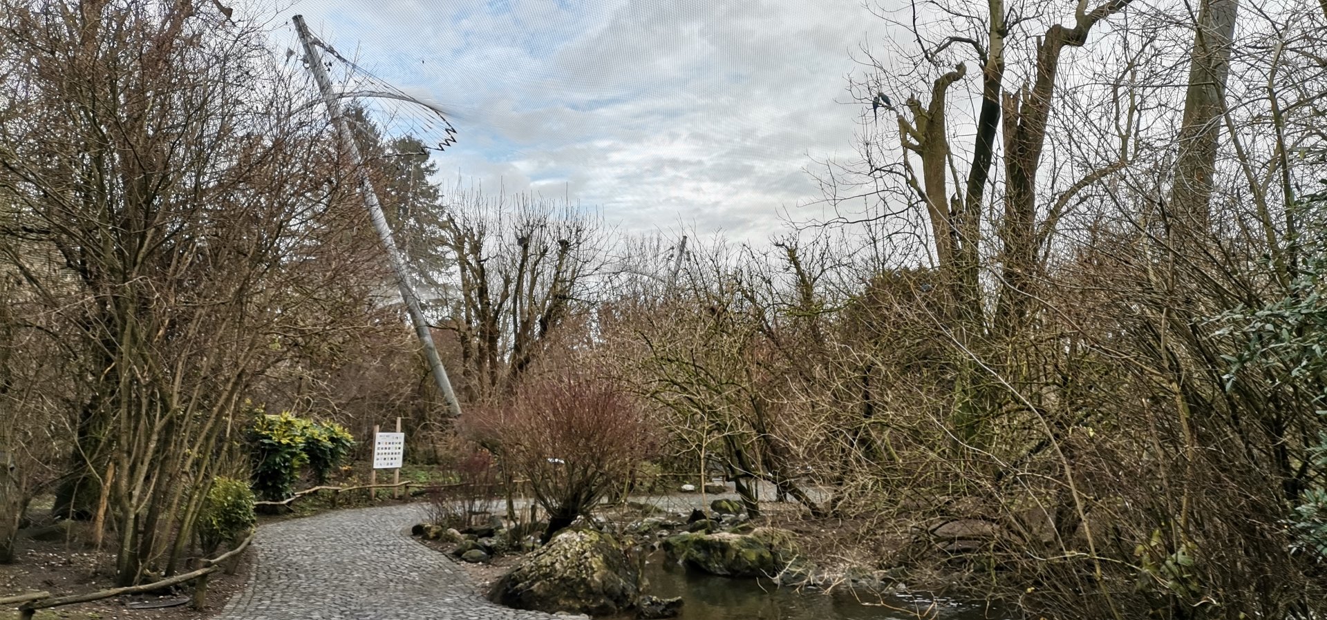 The Big Walkthrough Aviary