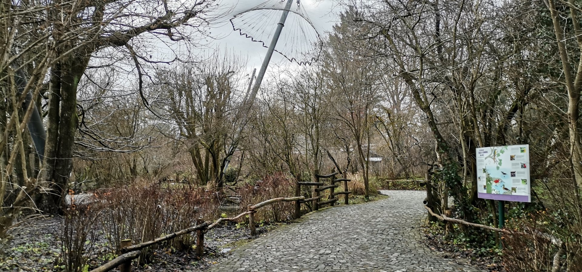 The Big Walkthrough Aviary