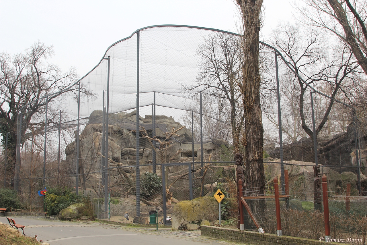 The bigest aviary at Budapest Zoo