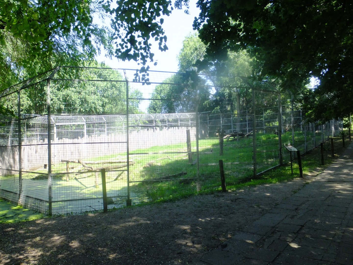 The bigger hyena enclosure