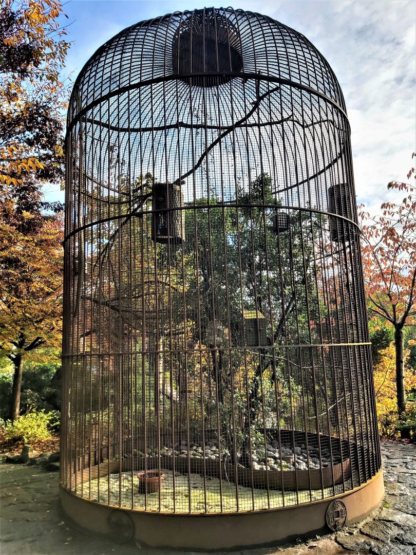 The biggest bird cage I've ever seen