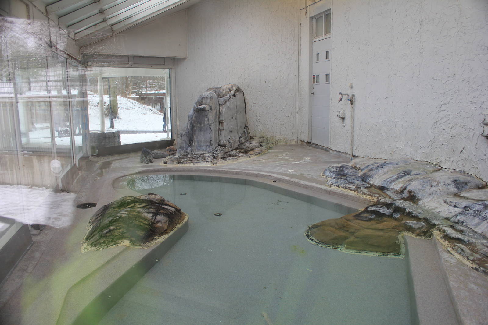 The Bird house - penguins indoor exhibit