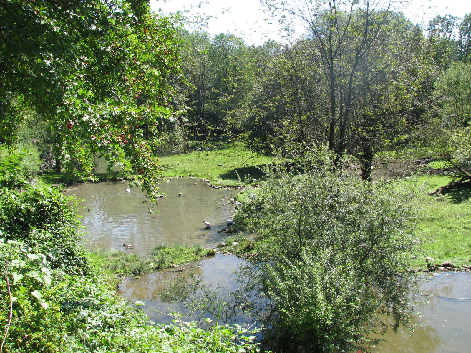 The Bird Park - August 2011