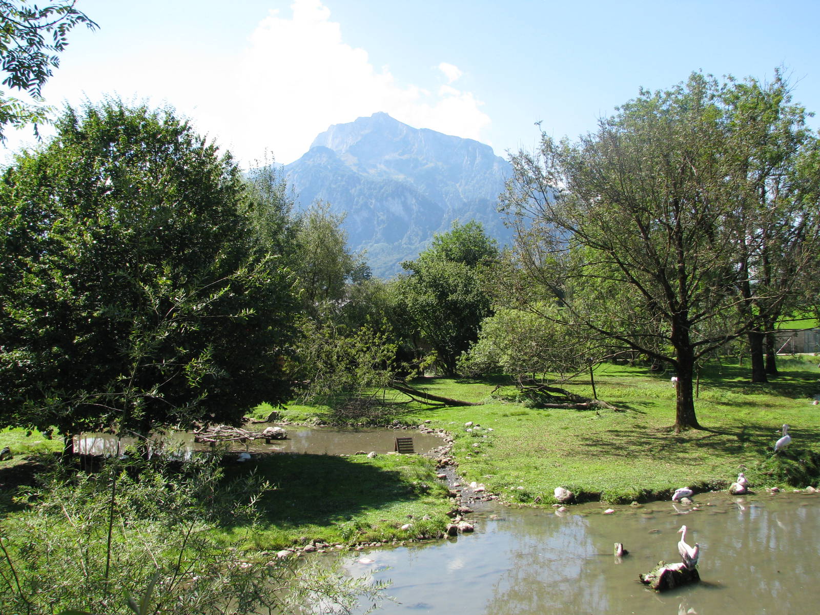 The Bird Park - August 2011