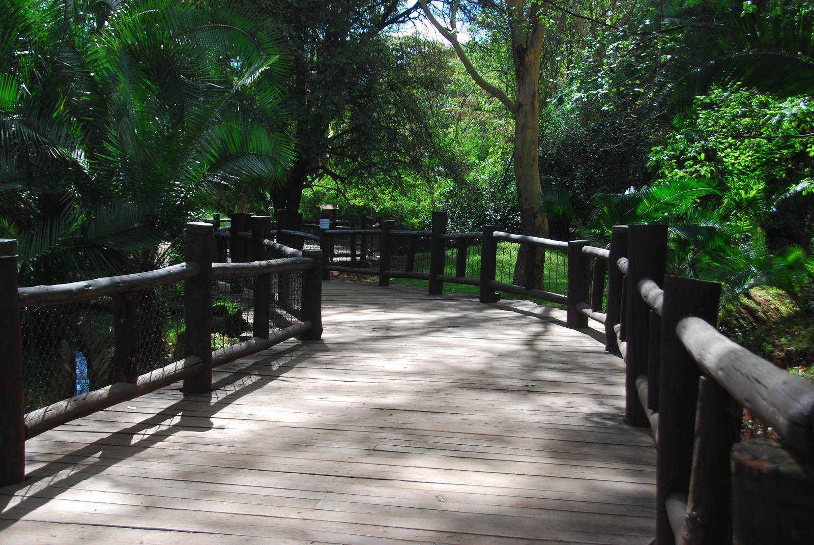 The Boardwalk - Nairobi Safari Walk