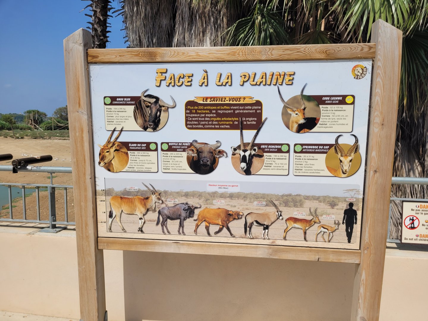 The bovids of the "Plaine Africaine" -Réserve Africaine de Sigean (2022)