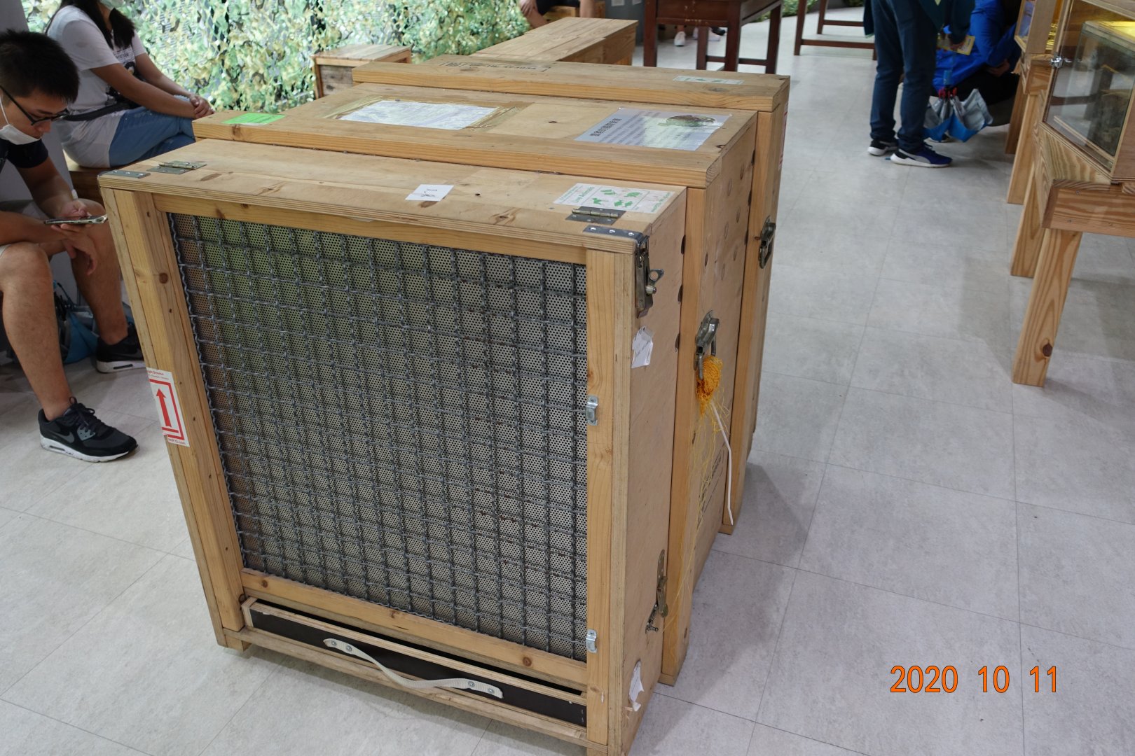 The box that has been used to transport a famale clouded leopard called "Suki" from Wuppertal Zoo to Taipei Zoo in 2016.