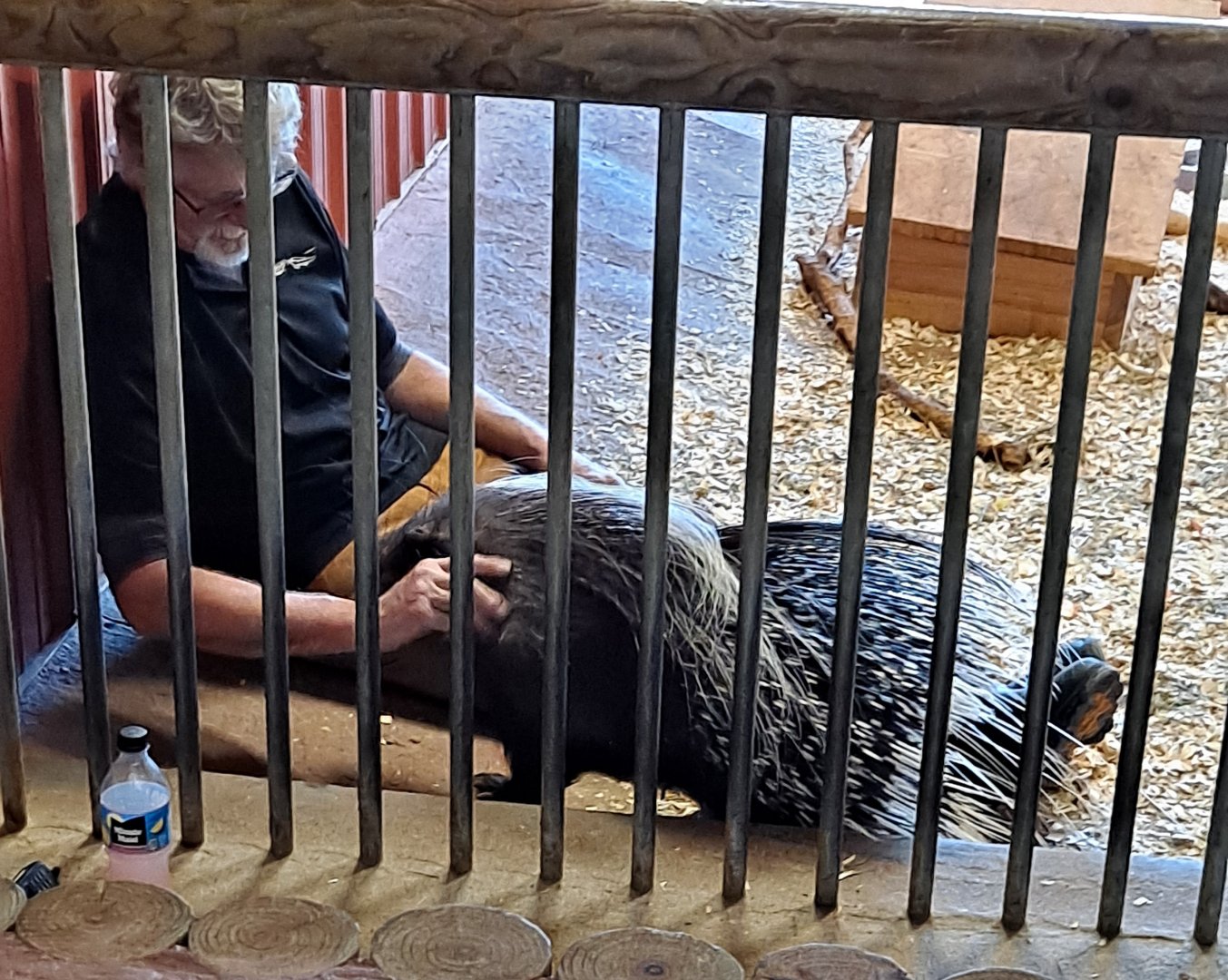 The bravest possible cuddle (1/25/25)