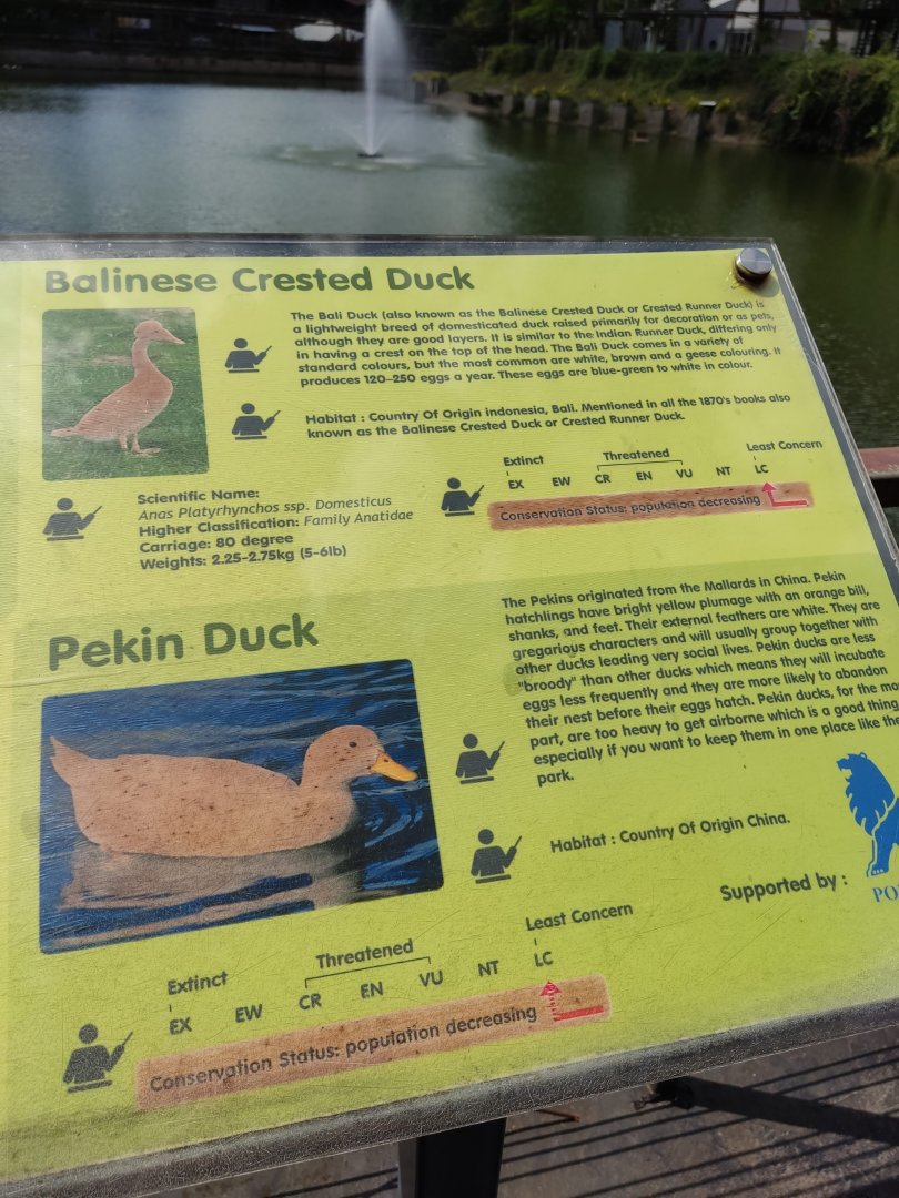 The Breeze BSD City - Waterfowl Signage