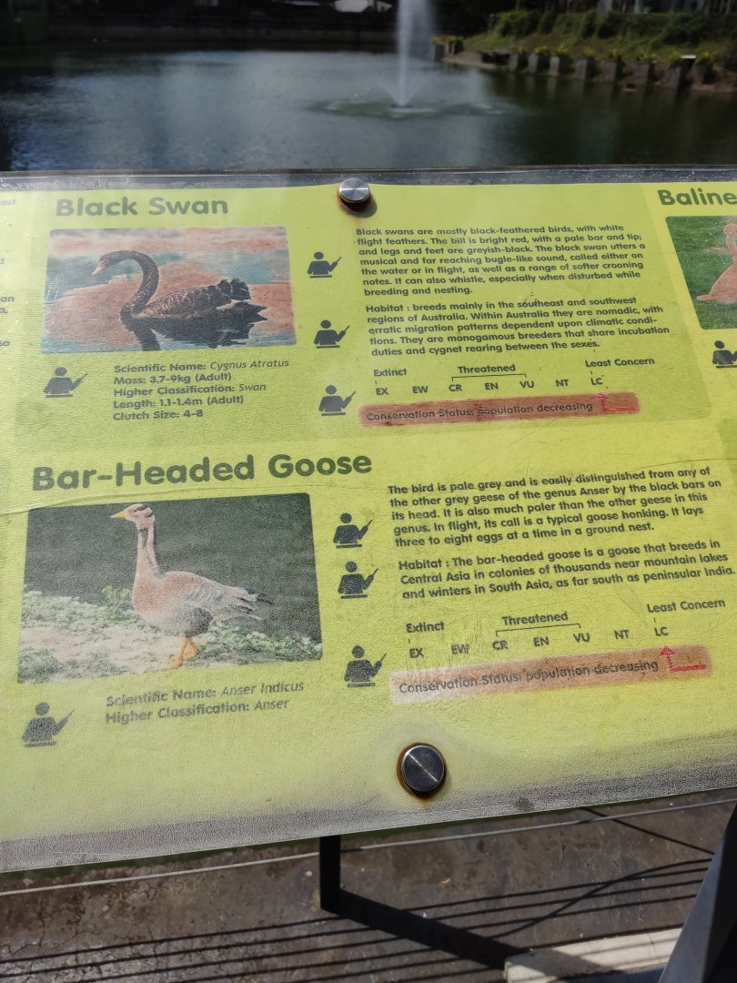 The Breeze BSD City - Waterfowl Signage