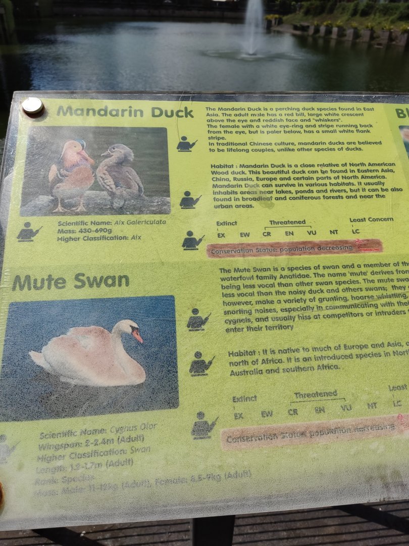 The Breeze BSD City - Waterfowl Signage