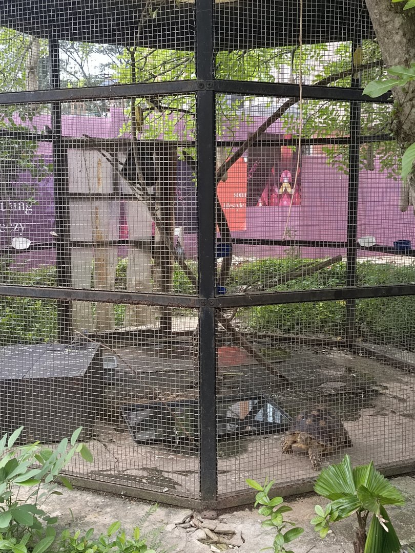 The Breeze BSD - Small Aviary