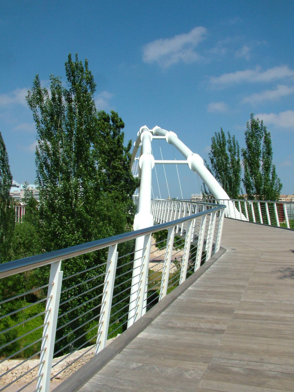 The Bridge at Bioparc Valencia, 28/05/11