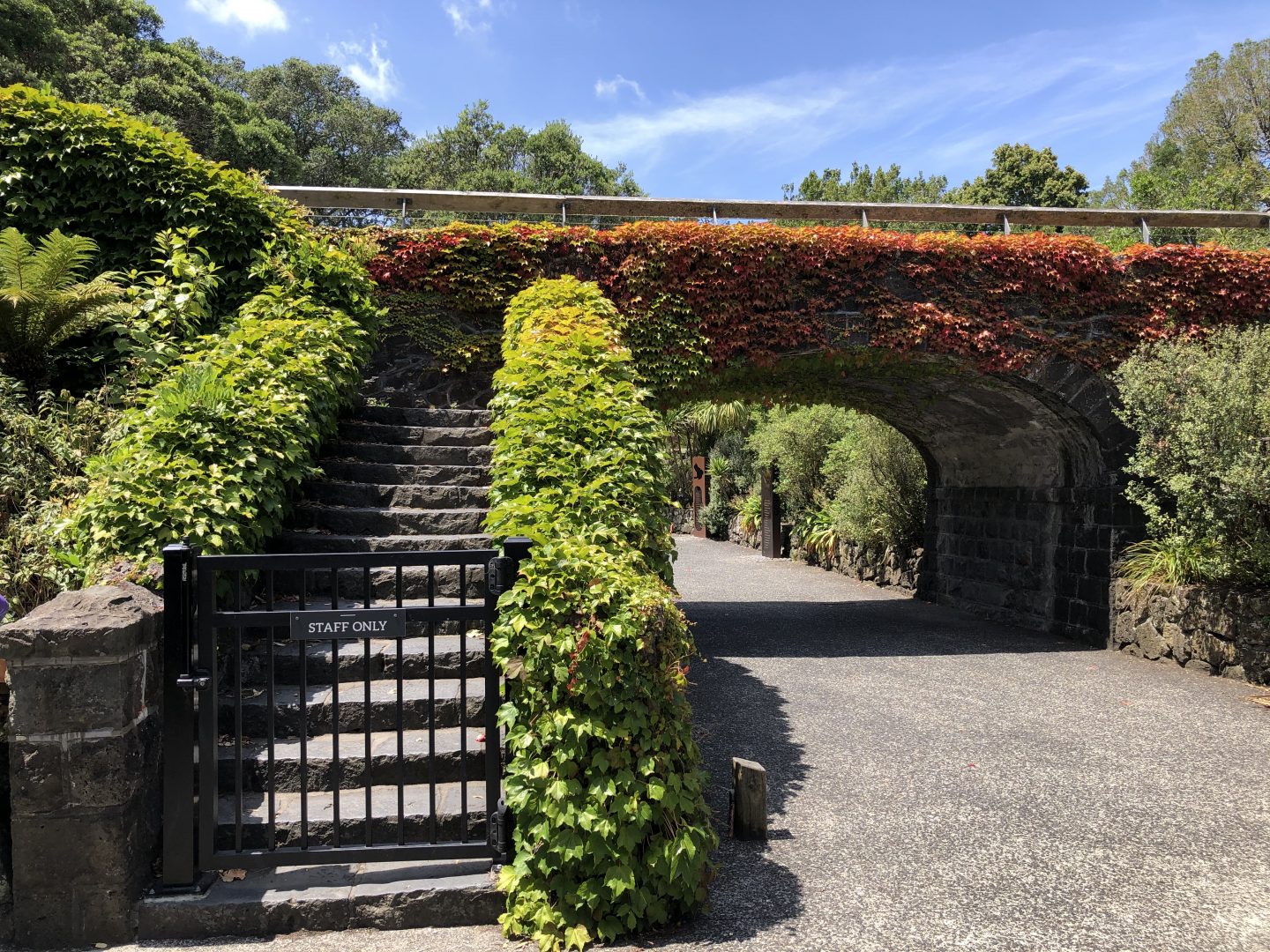 The bridge by the Kiwi house.