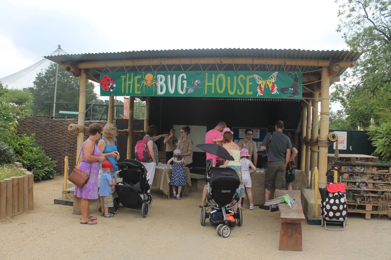 The Bug House Chester Zoo 2013