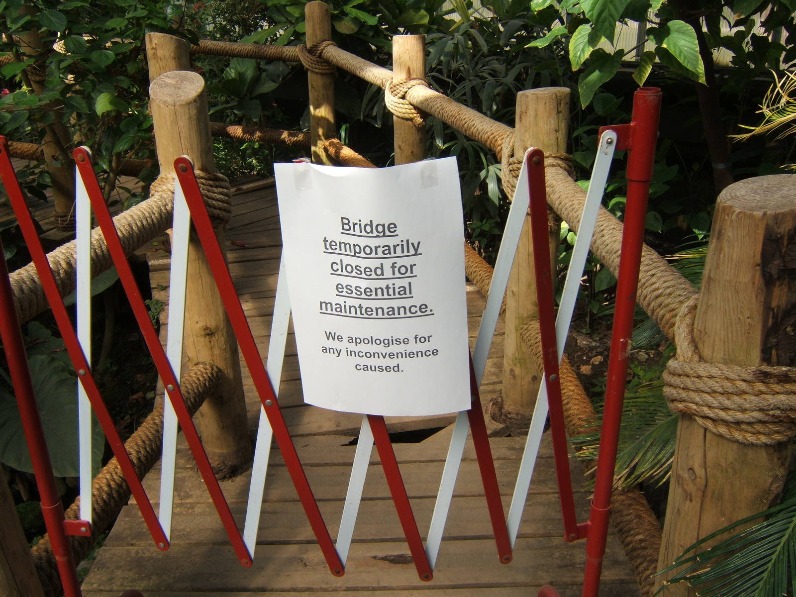 The Butterfly Bridge