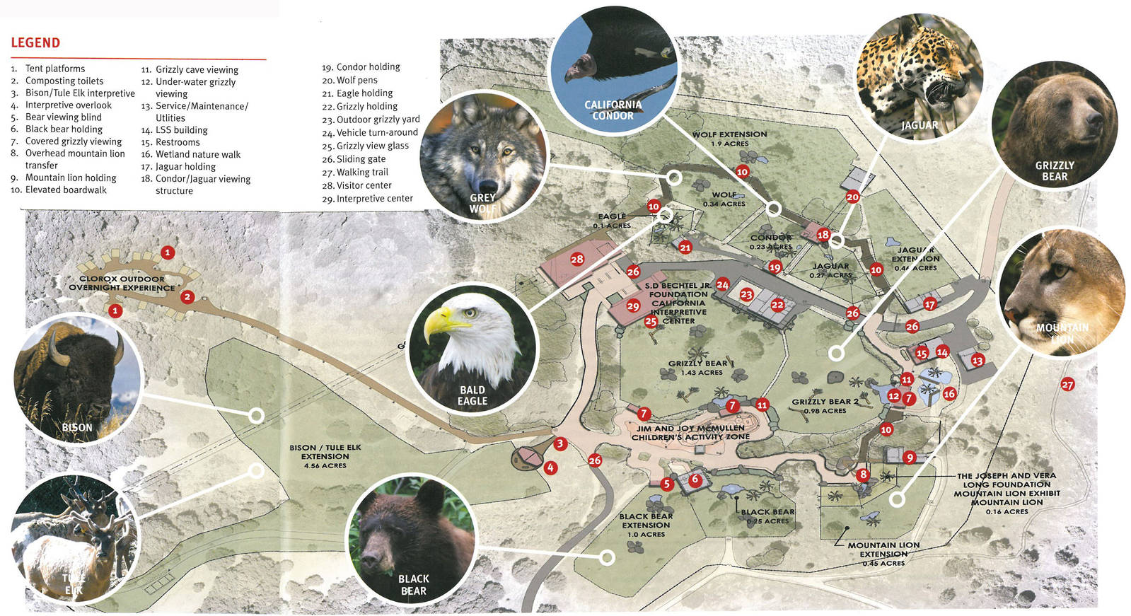 The California Trail