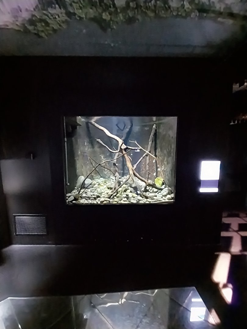 The calm waters of the Rhône