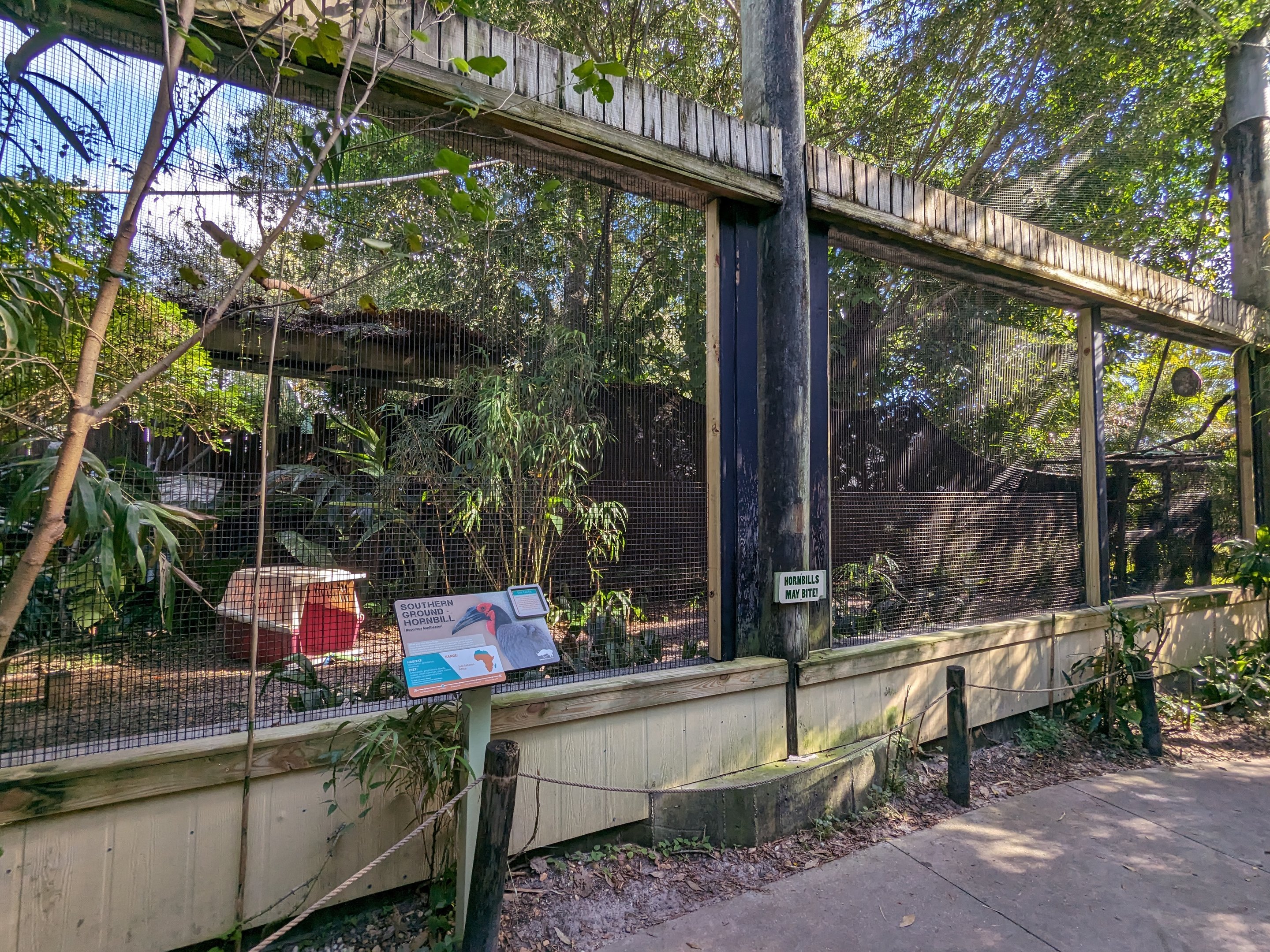 The Canopy Aviary - Southern ground hornbill