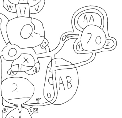 The Cat House, Otter Playground, And Wings Of The Amazon