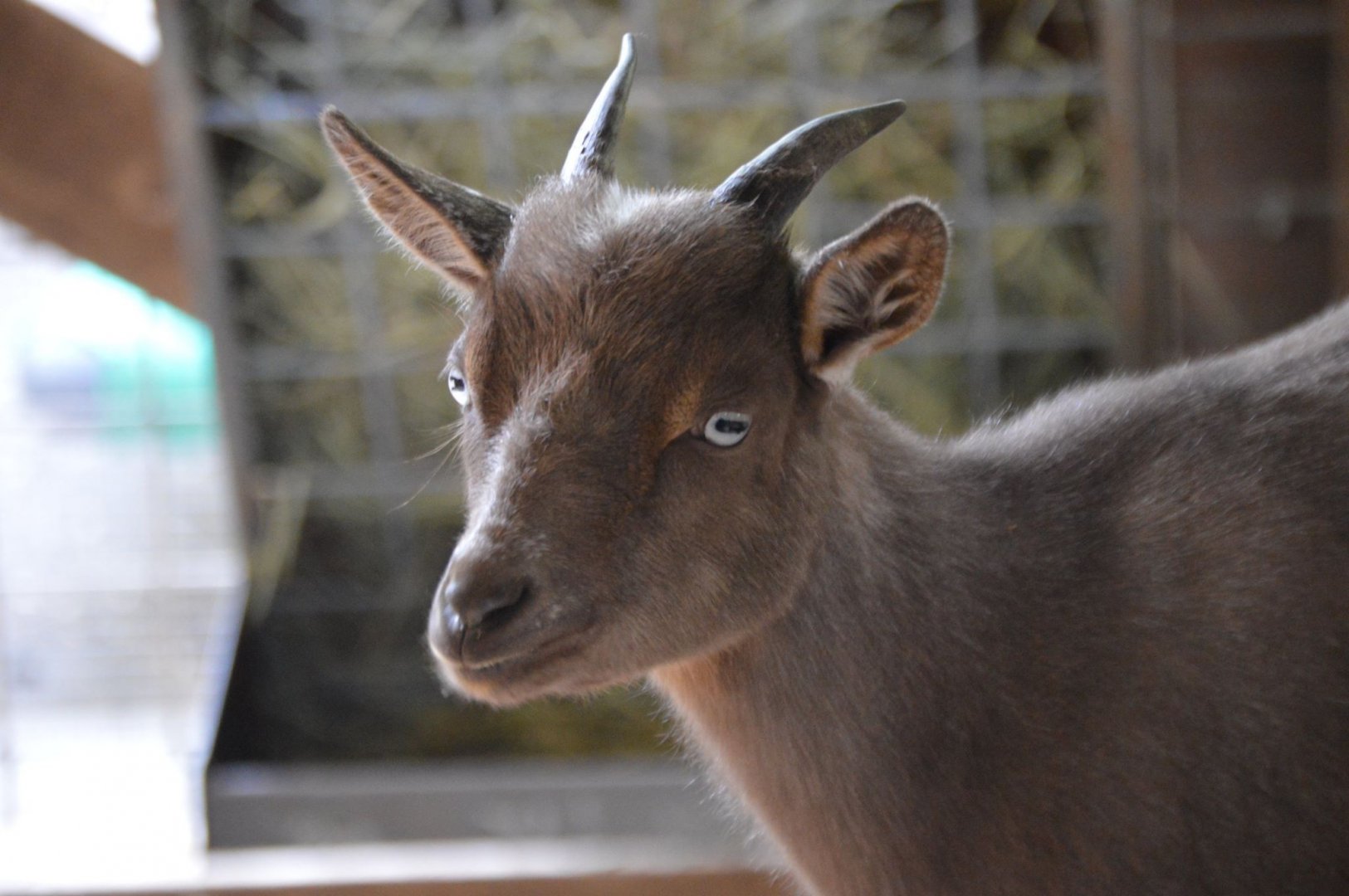 The celebrity I met at OZ