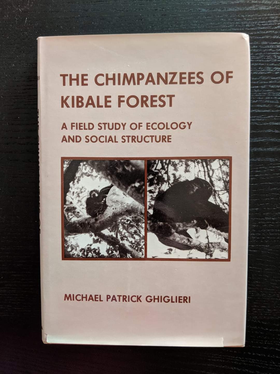 The Chimpanzees of Kibale Forest