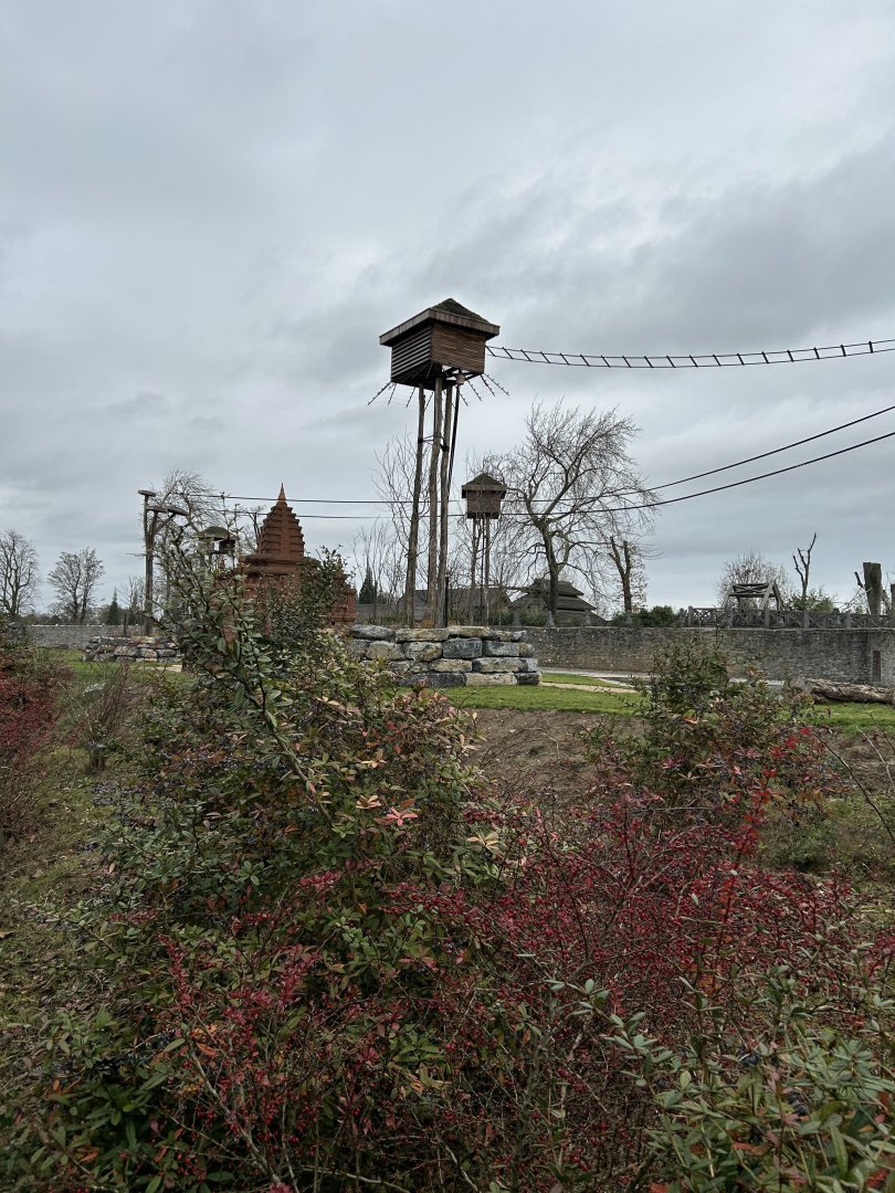 The climbing structures for the golden-cheecked gibbons on the elephant savannah on the train route