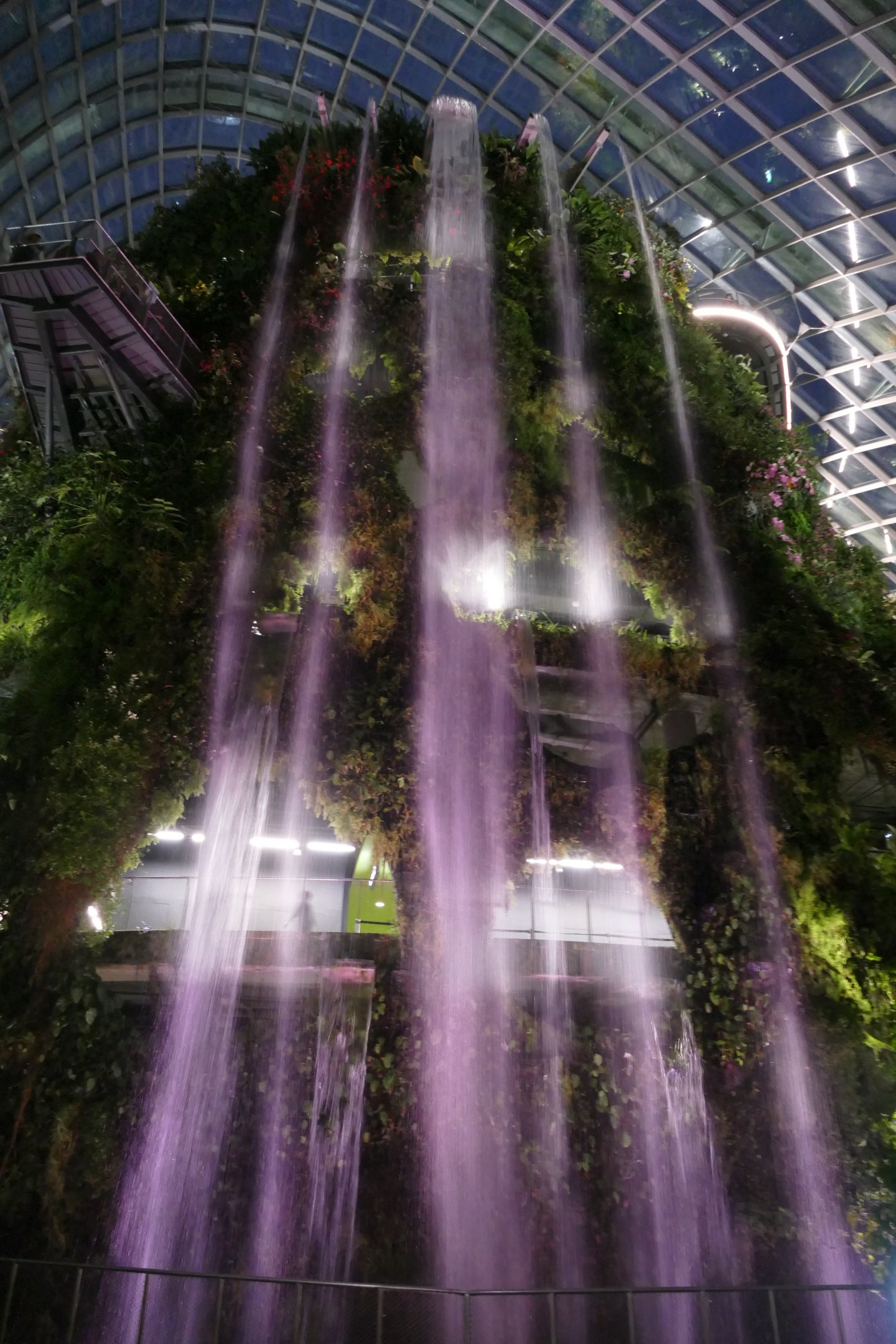 The Cloud Forest dome after dark