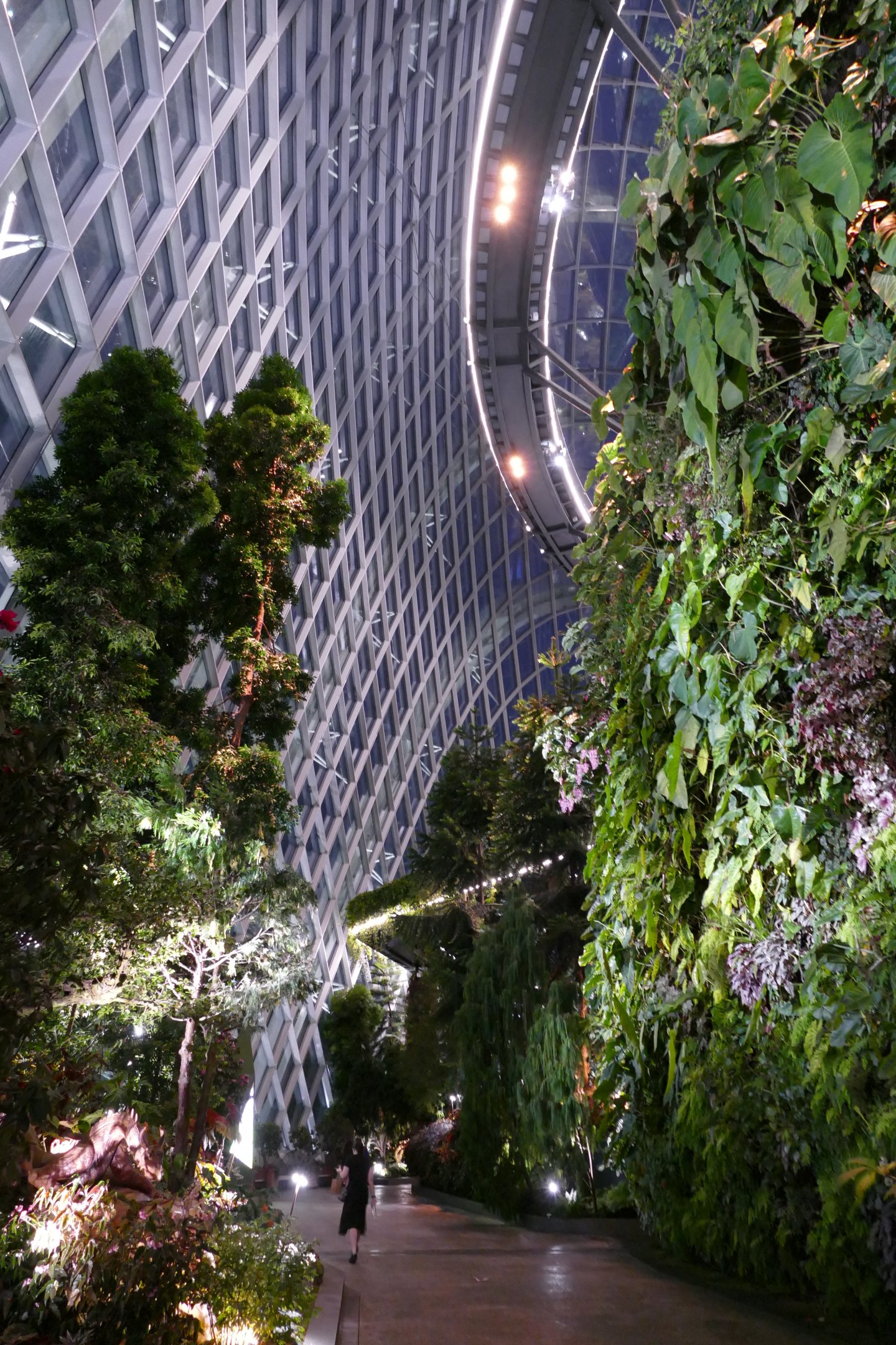 The Cloud Forest dome after dark