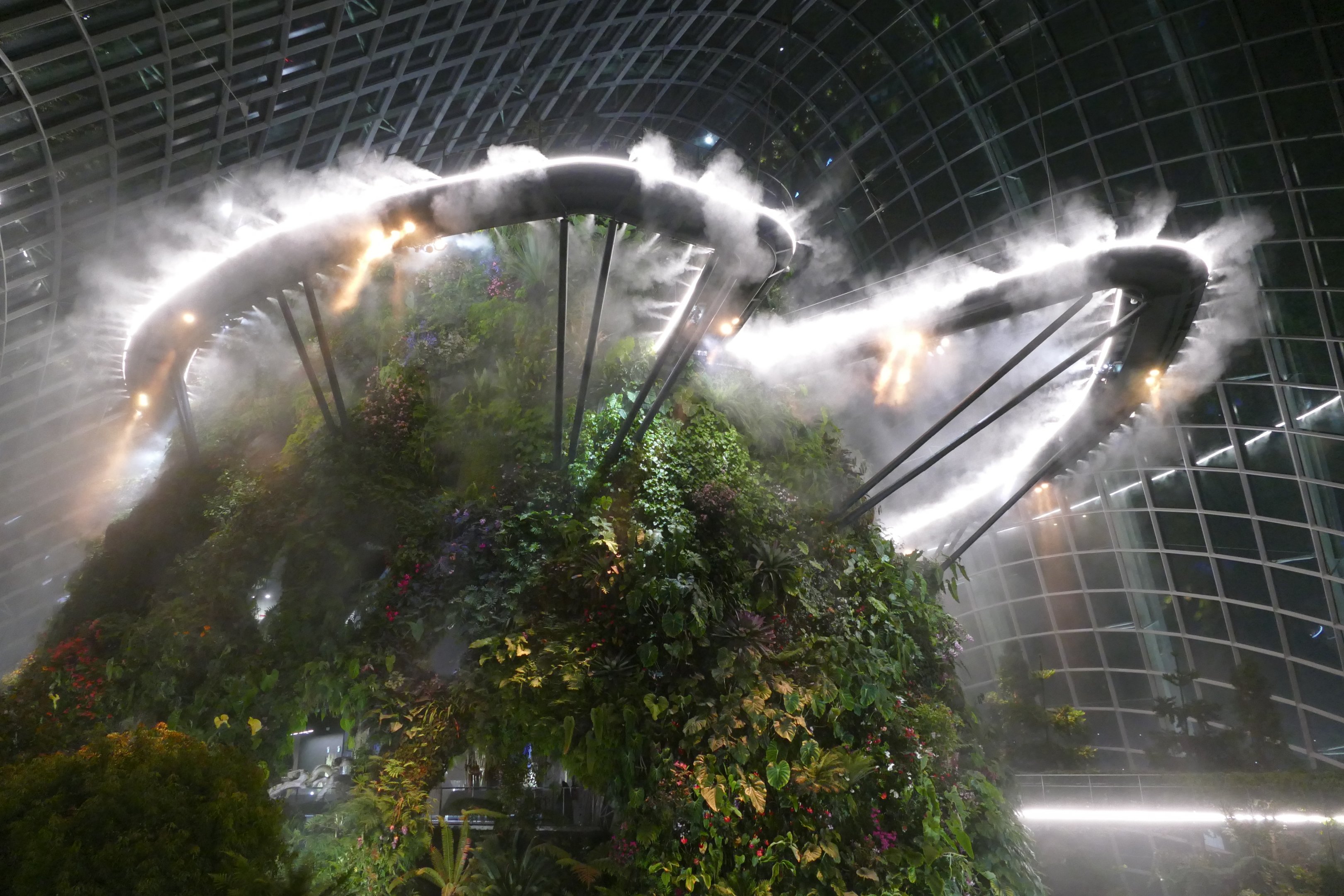The Cloud Forest dome after dark