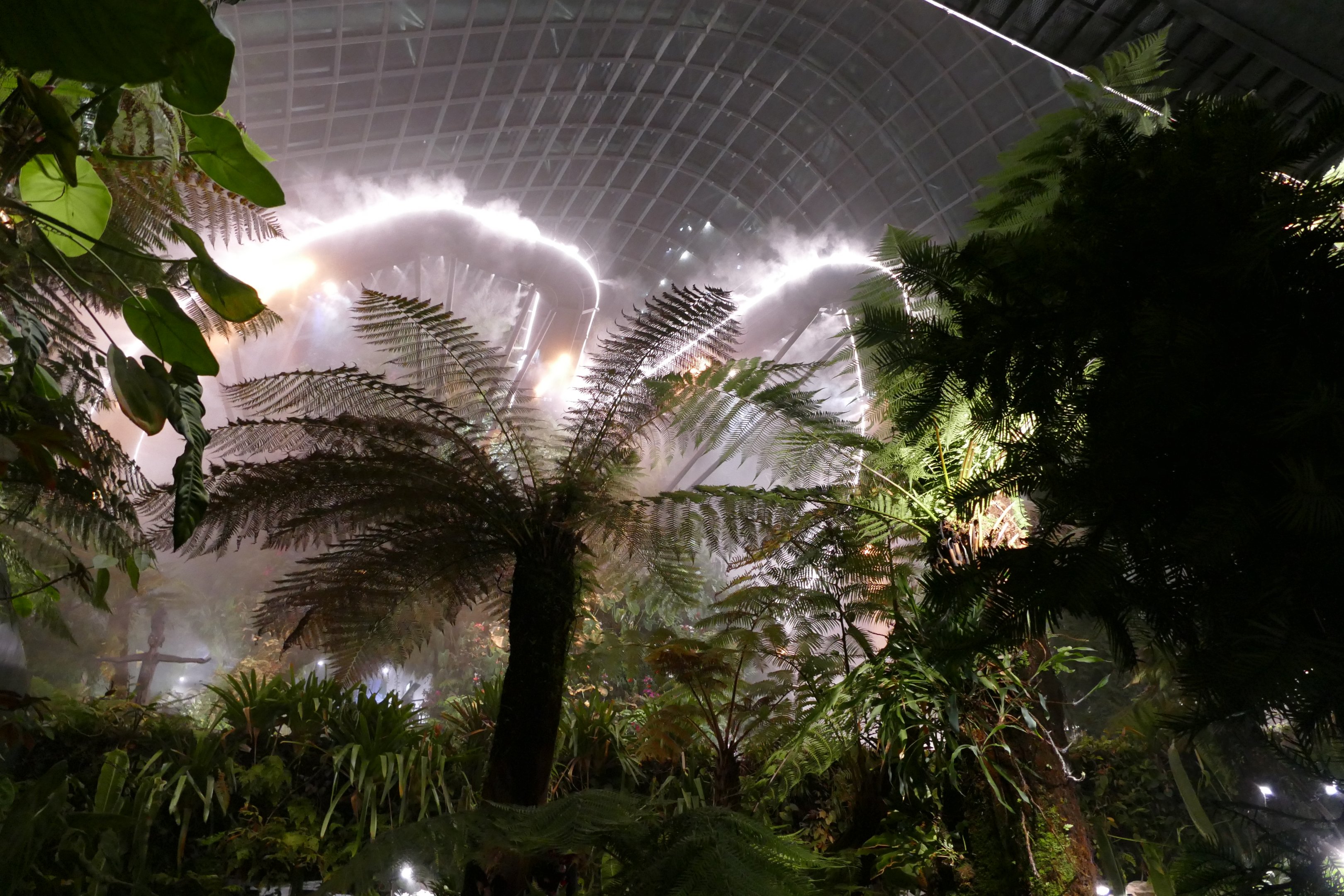 The Cloud Forest dome after dark