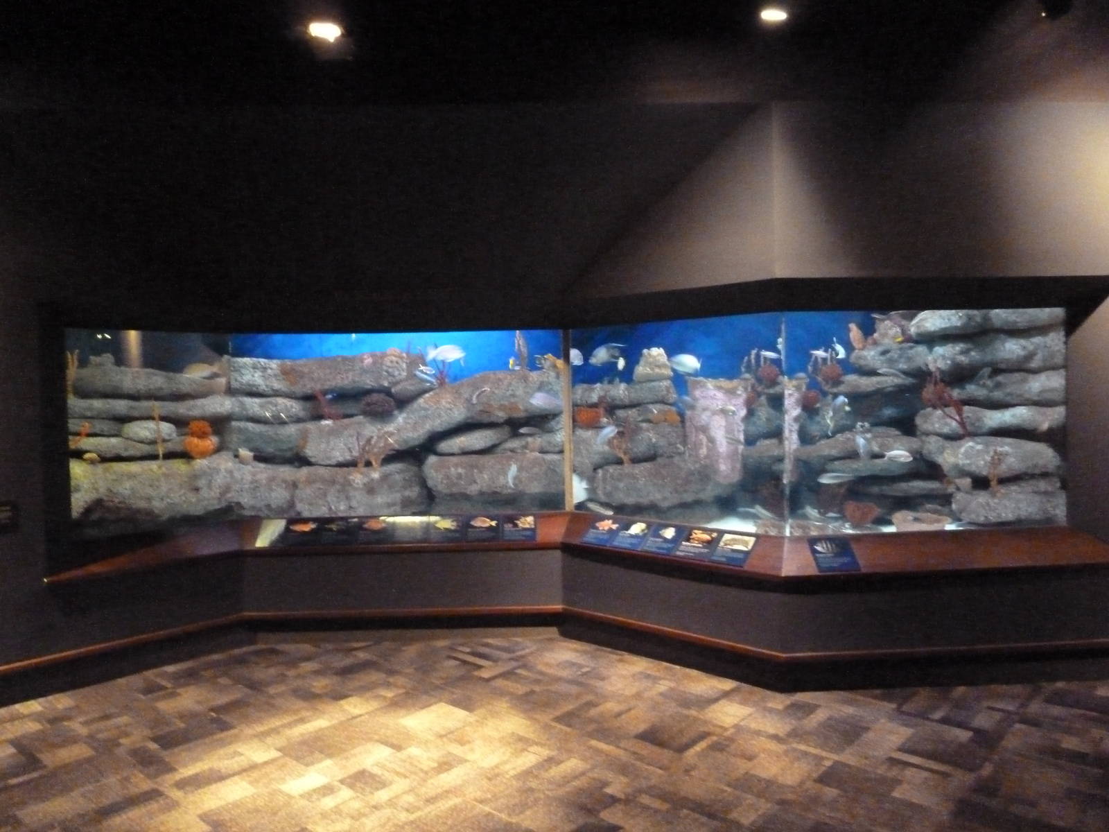 The Coast Gallery Exhibit