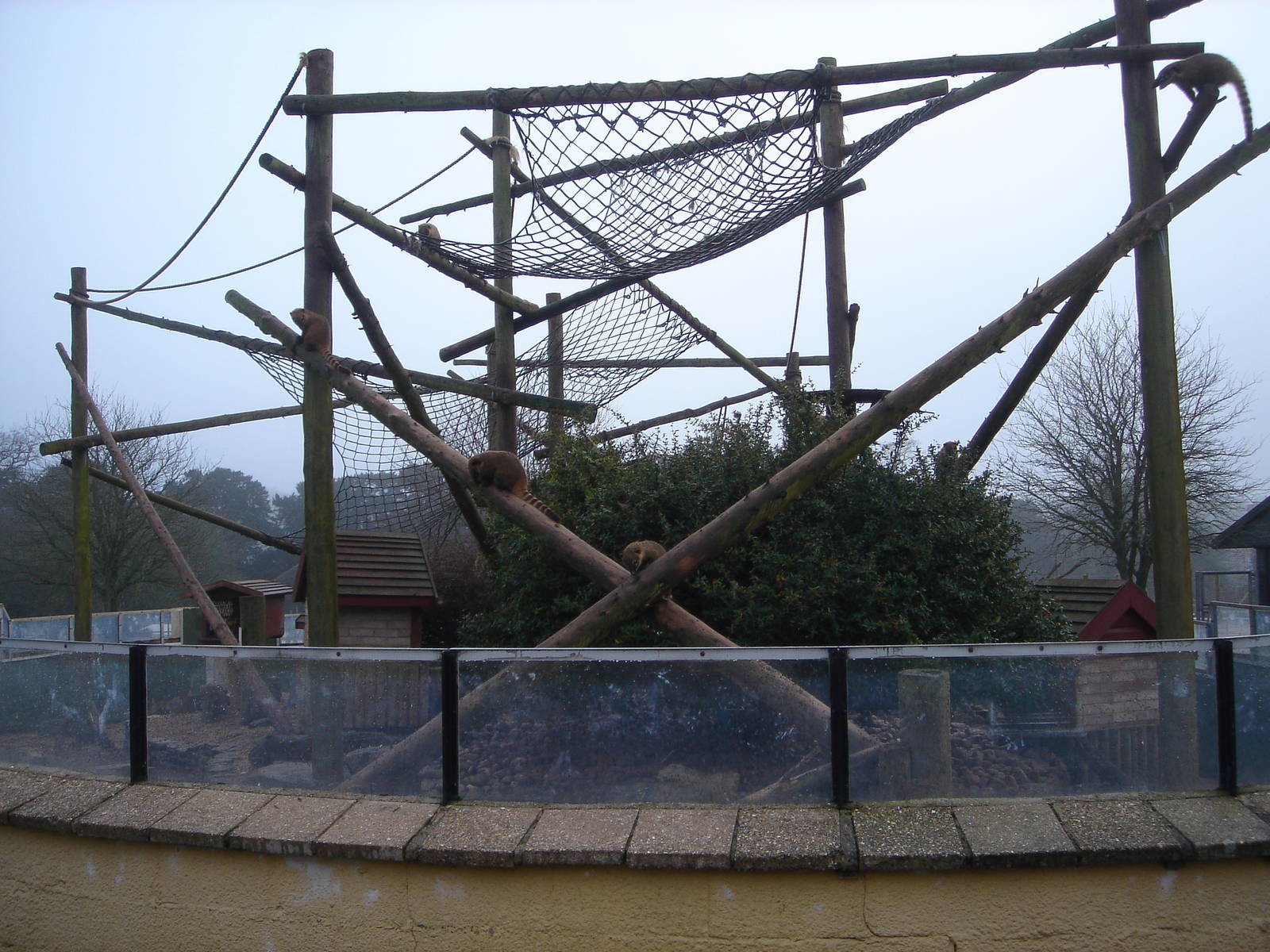 The Coati enclosure