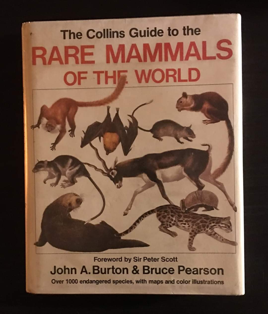 The Collins Guide to the Rare Mammals of the World