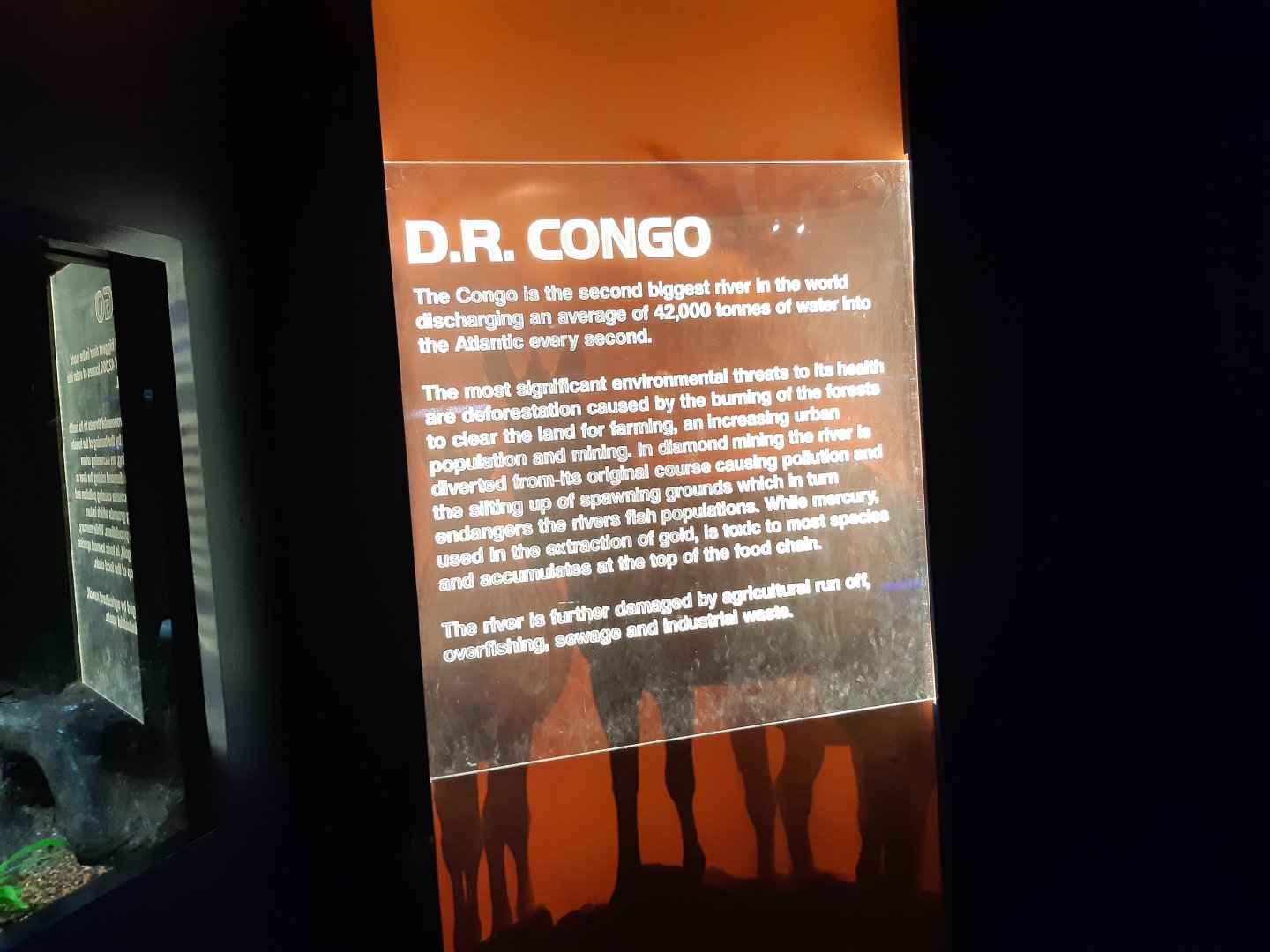 The Congo