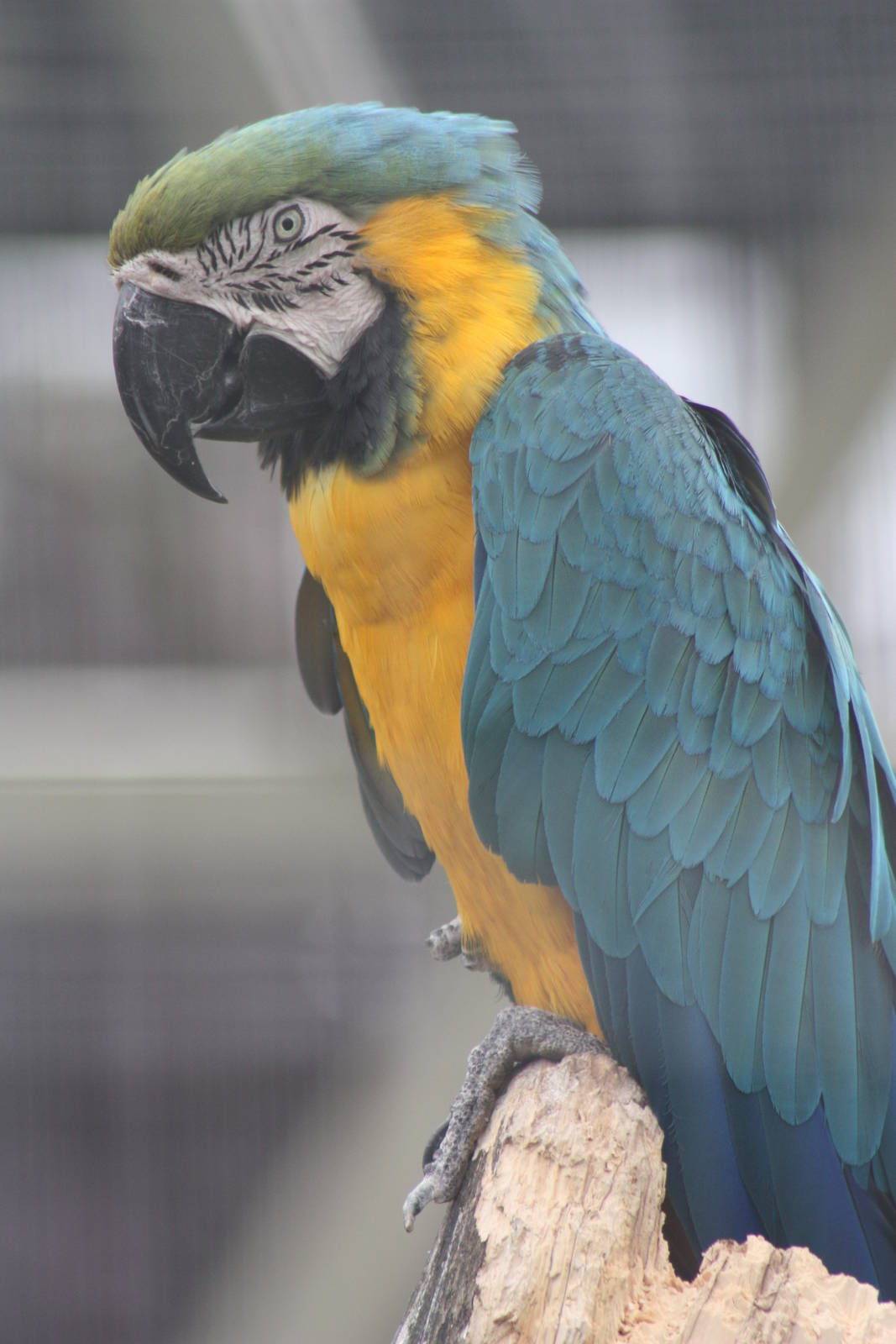 The culprit? 1st September 2014