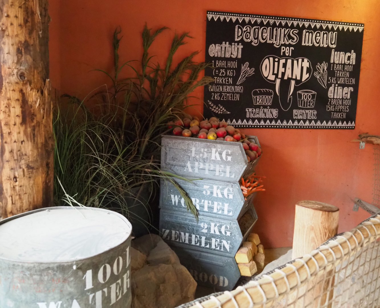 'The daily menu for an elephant' educational display, 2019-09-15