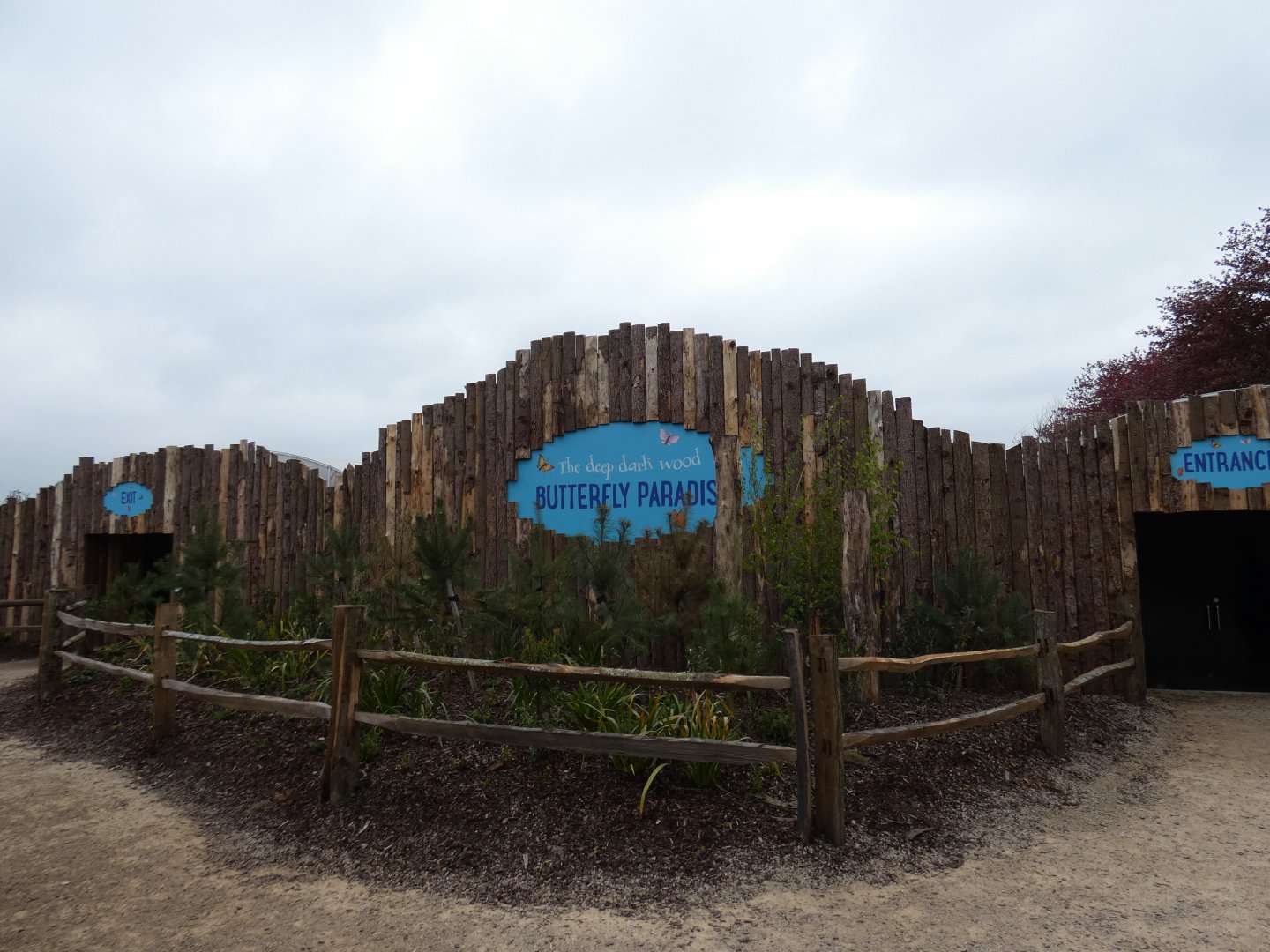 "The deep, dark wood butterfly paradise" in Gruffalo Discovery Land