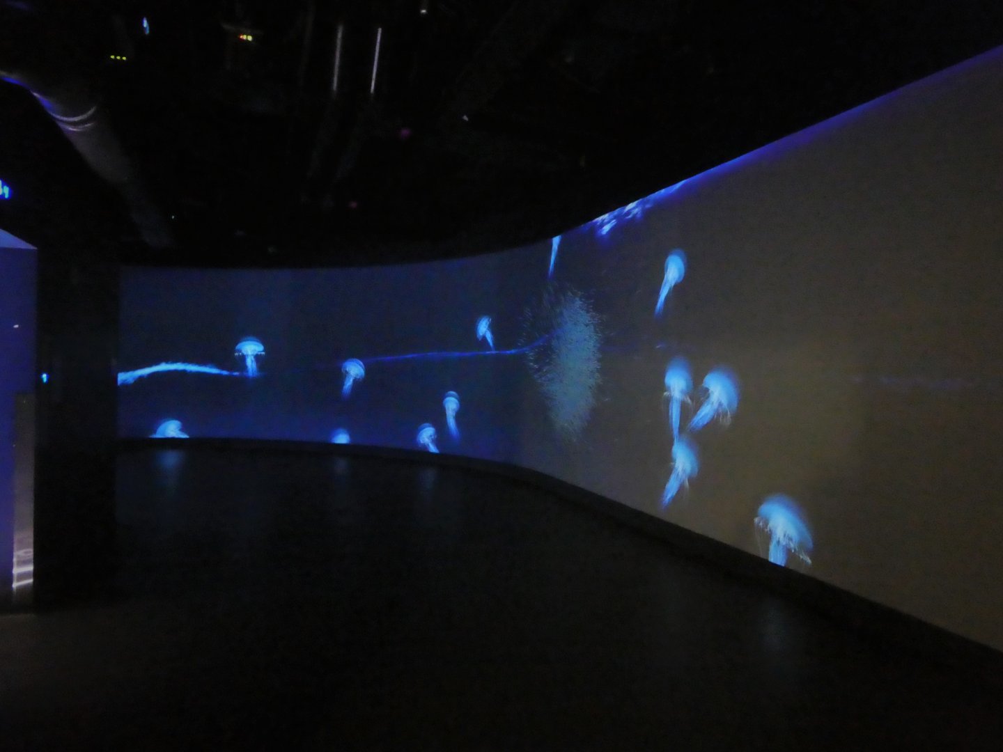 The Deep - Entrance Area