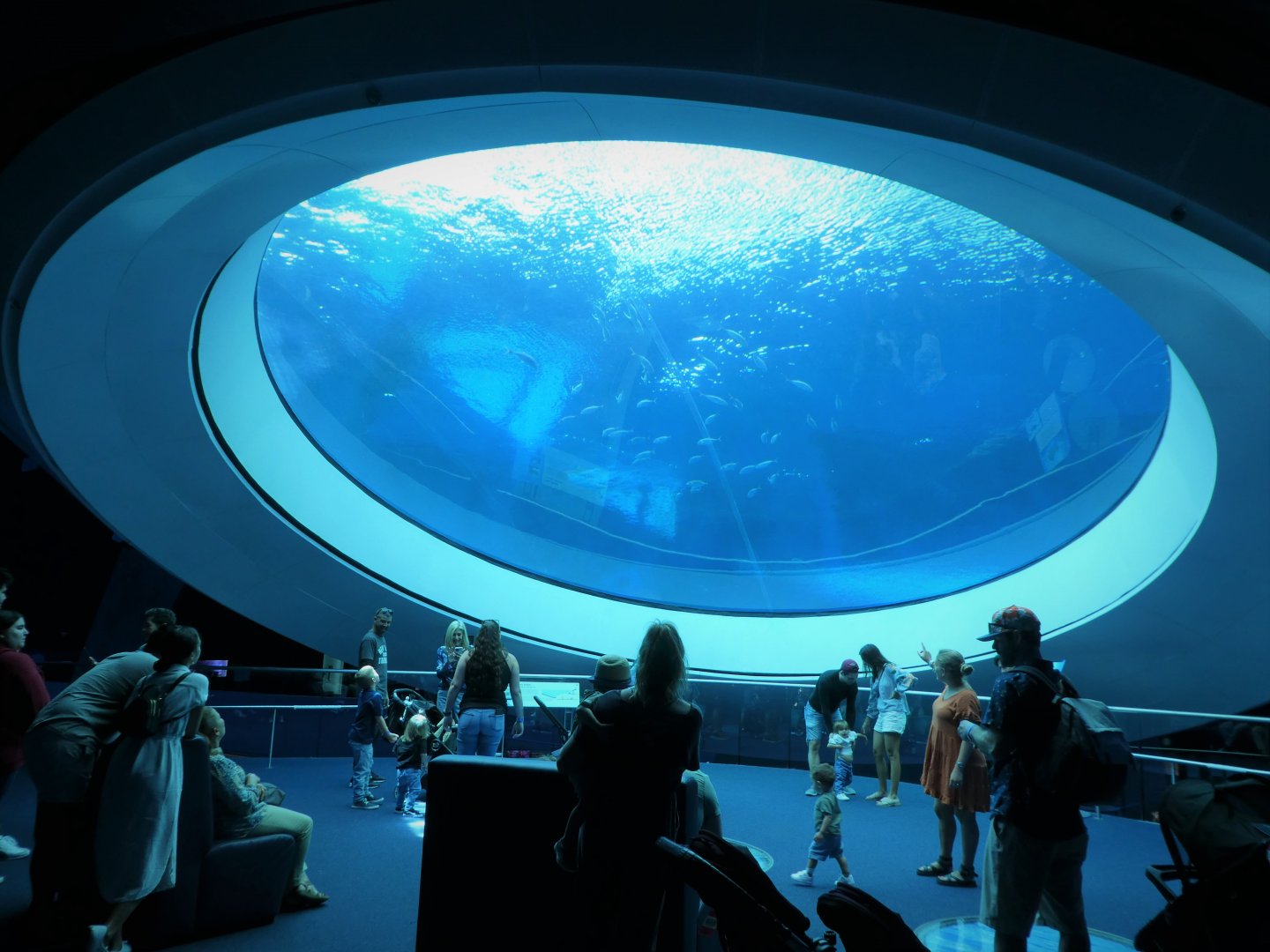 The Deep - Gulf Stream Habitat