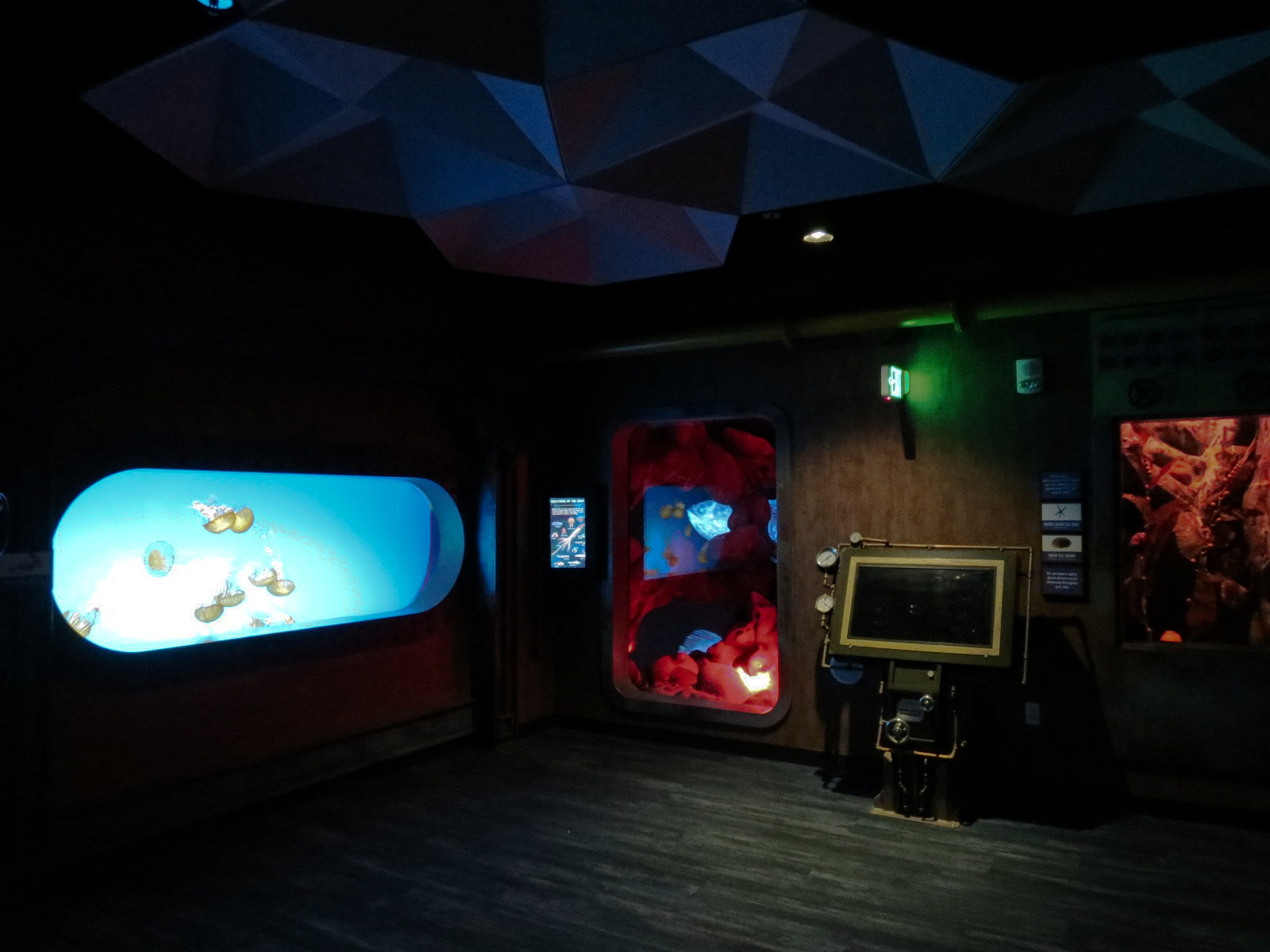 The Deep - Pacific Sea Nettle Exhibit