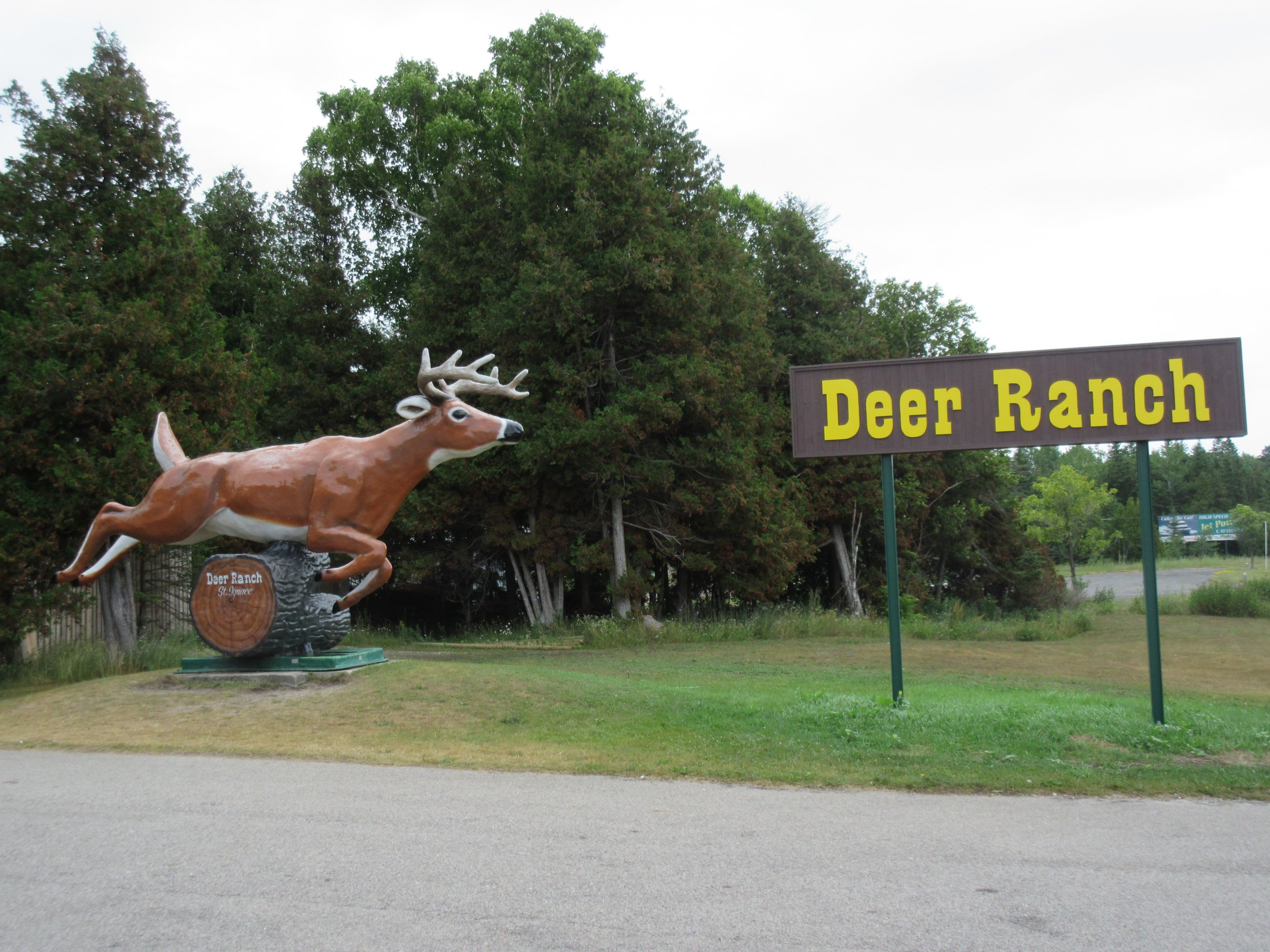 The Deer Ranch - St.Ignace, Michigan