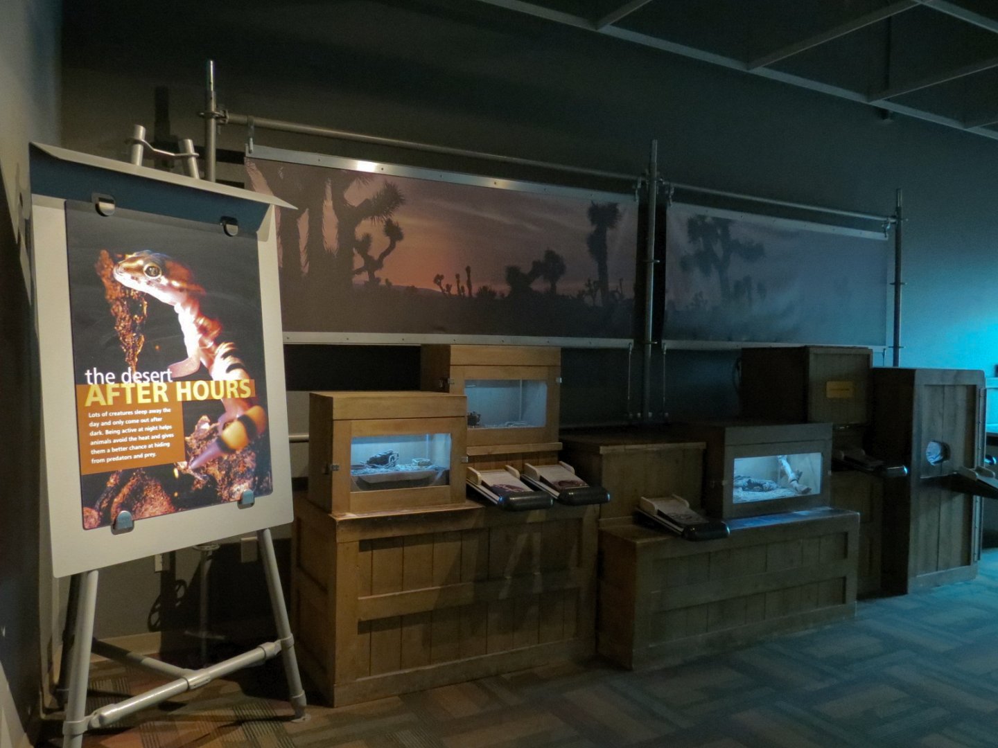 The Desert After Hours (Indoor) Exhibits