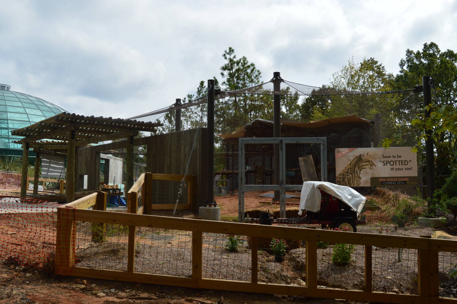 The Desert - Ocelot Exhibit Construction