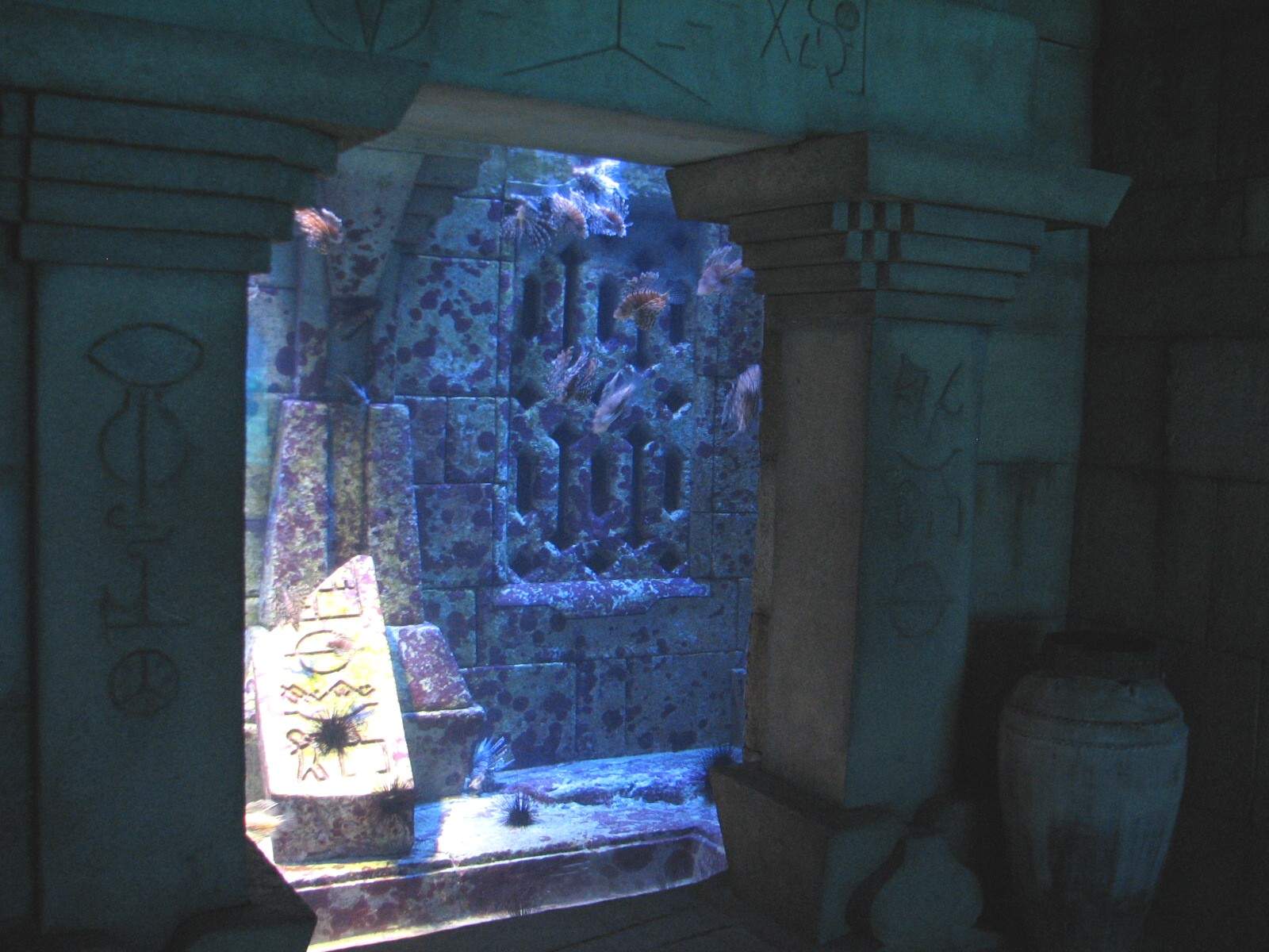 The Dig - Lionfish, Spotted Scorpion Fish and Long-spine Urchin Exhibit