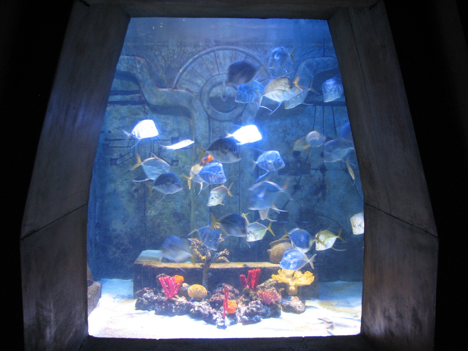 The Dig - Lookdown Exhibit