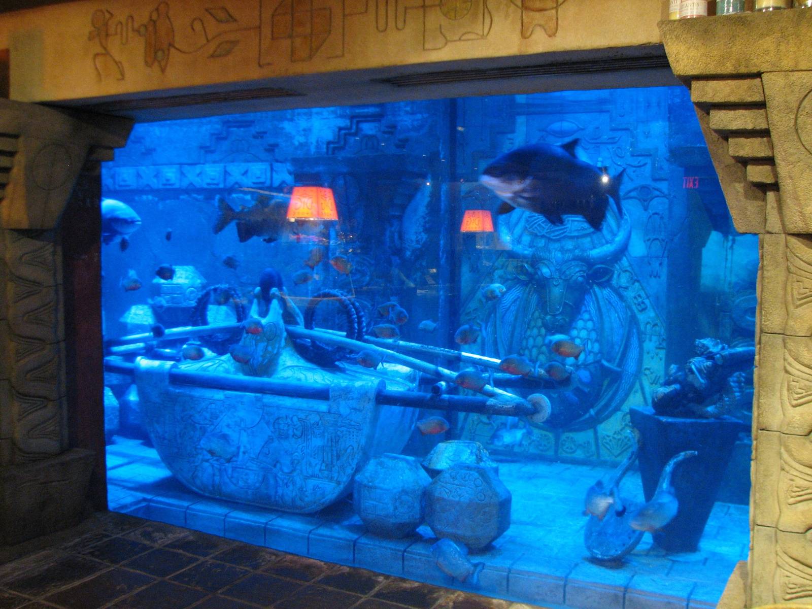 The Dig - Red-bellied Piranha Exhibit