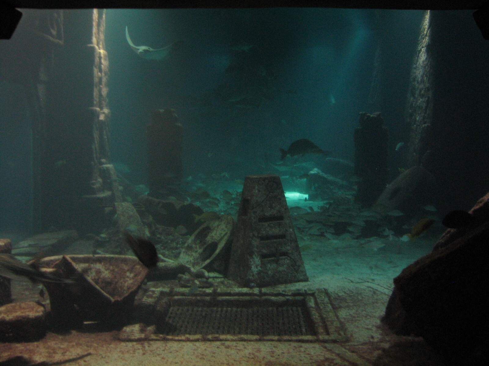 The Dig - Ruins Lagoon at Night
